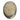 Peru Pyrite Treasures Zibu Coin for Wealth & Abundance.